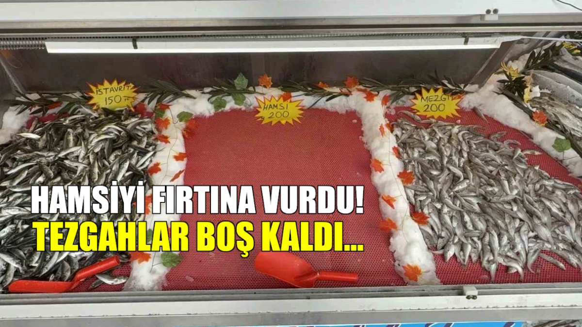 Hamside bolluk bekleniyordu, fırtına yokluk getirdi: Hamsi tezgahları boş kaldı