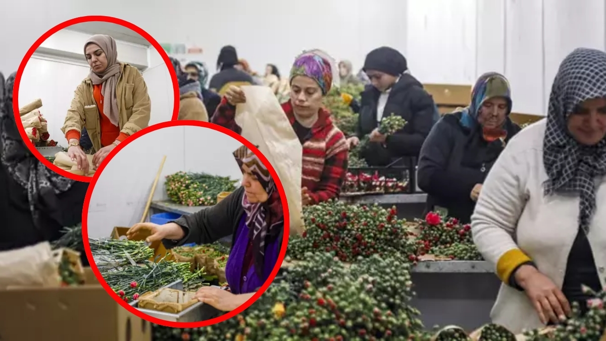 Turizmin değil örtü altı üretimin de merkezi! Antalya üretiyor dünya havada kapıyor: Milyon dolar değerinde…