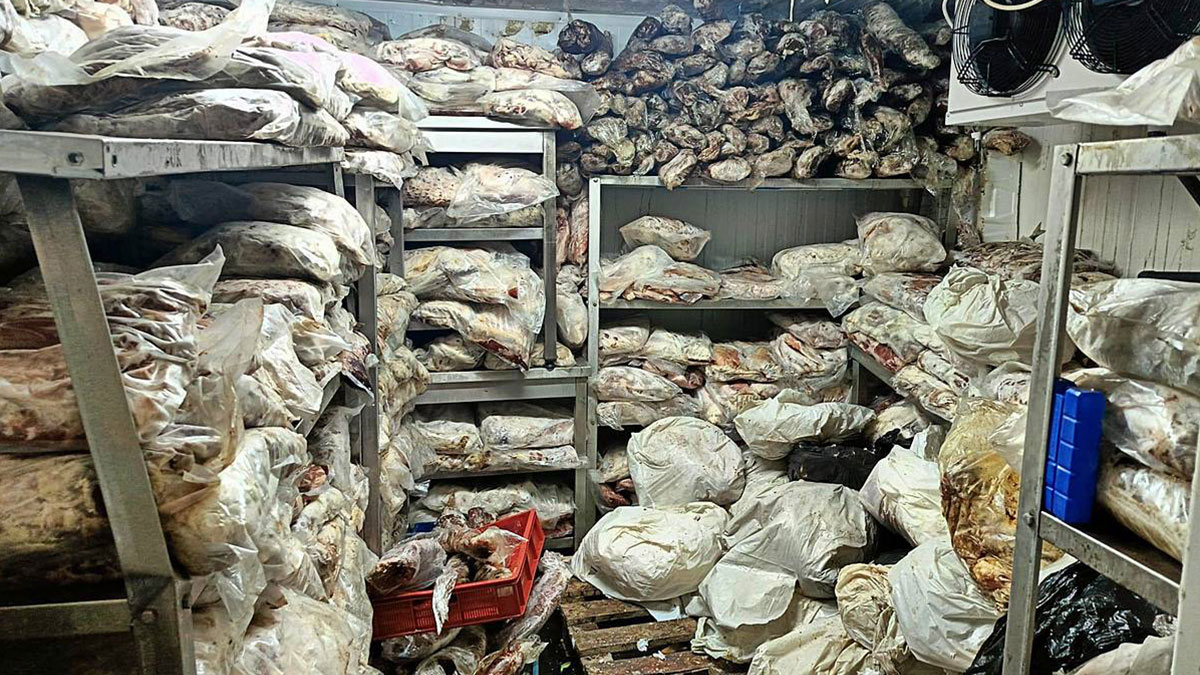 3,8 ton bozuk et ve balık ele geçirildi! Yakalanmasalardı bozuk et ve balıkları ne yapacaklardı?