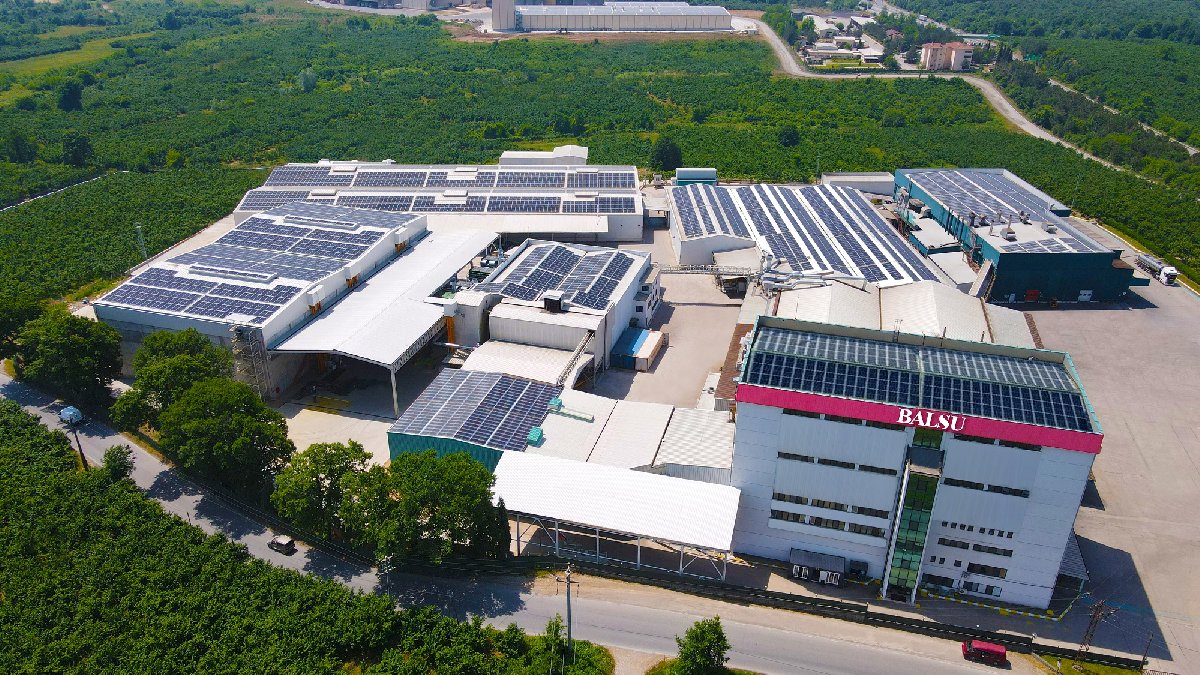 Türk fındığını dünyaya ulaştıran Balsu Gıda yatırımcılarla buluşuyor