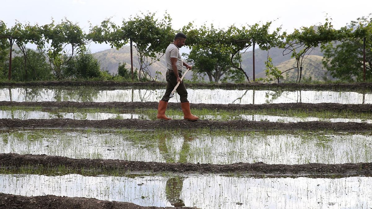 O ilimizden büyük yatırım atılımı! Artık 43 milyon liralık tesiste işlenecek, üretimde güç kazanacak: Herkese hayırlı olsun