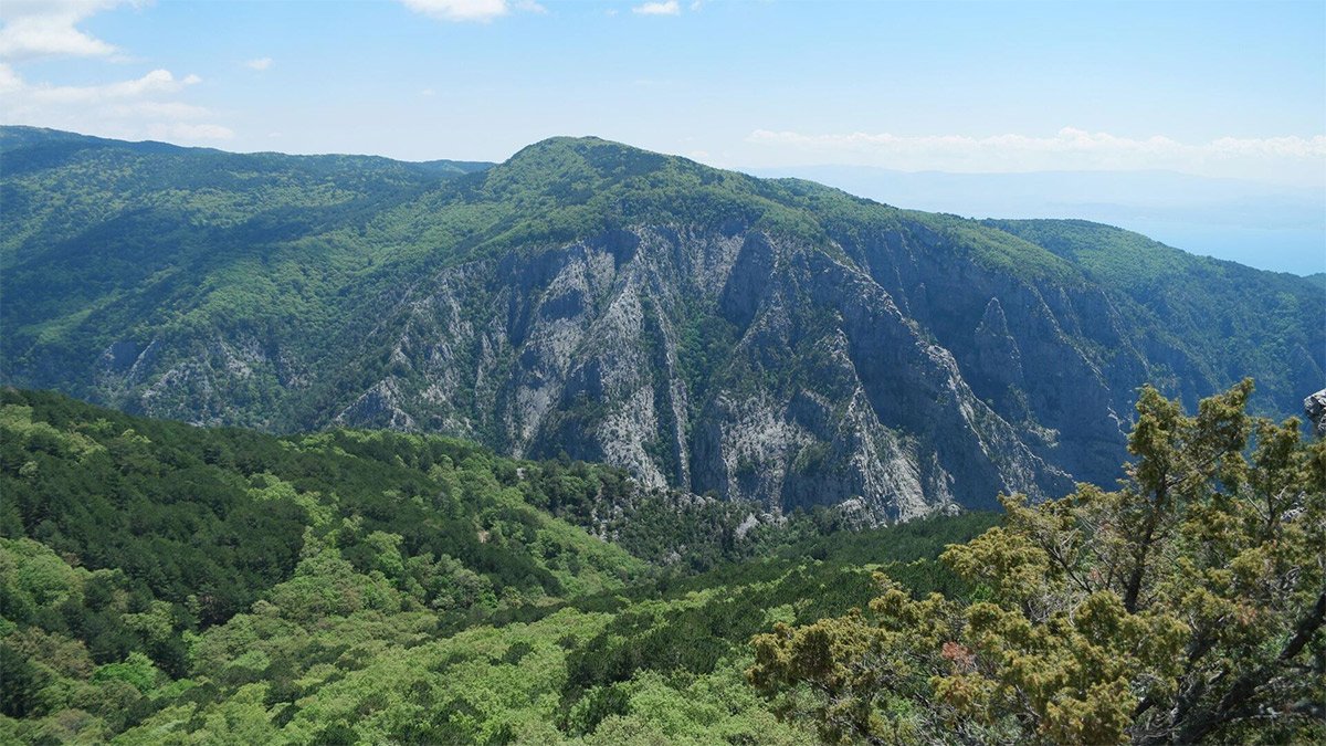 Kazdağları'nı bekleyen büyük tehlike! Danıştay'dan madene onay