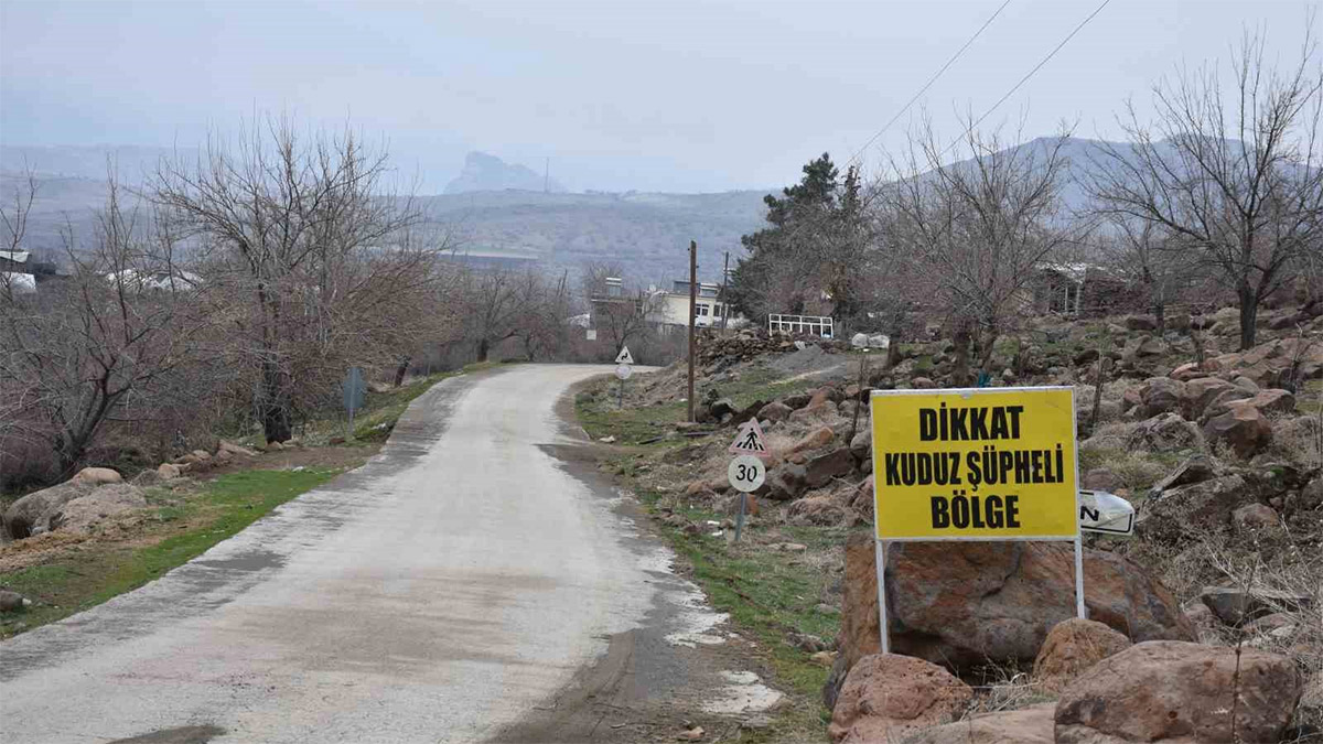 Şanlıurfa'da kuduz köpek alarmı! Köy karantinaya alındı, 3 kişi yaralandı
