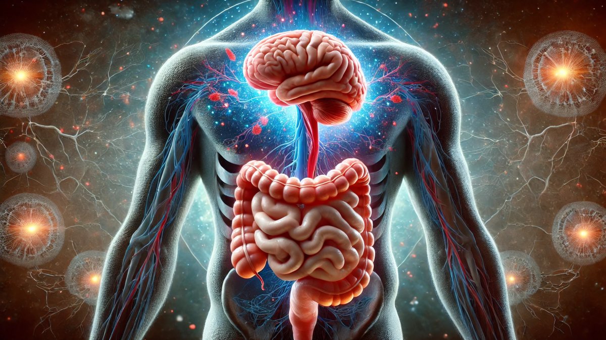 Bağırsaklara boşuna ikinci beyin denilmiyor! Bunları yiyin bağırsaklarınız saat gibi çalışsın