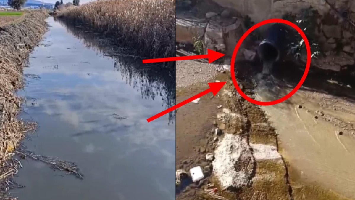 İzmir'de endişe veren görüntü! Lağım suyu dereye akıyor: Vatandaşlar tepkili