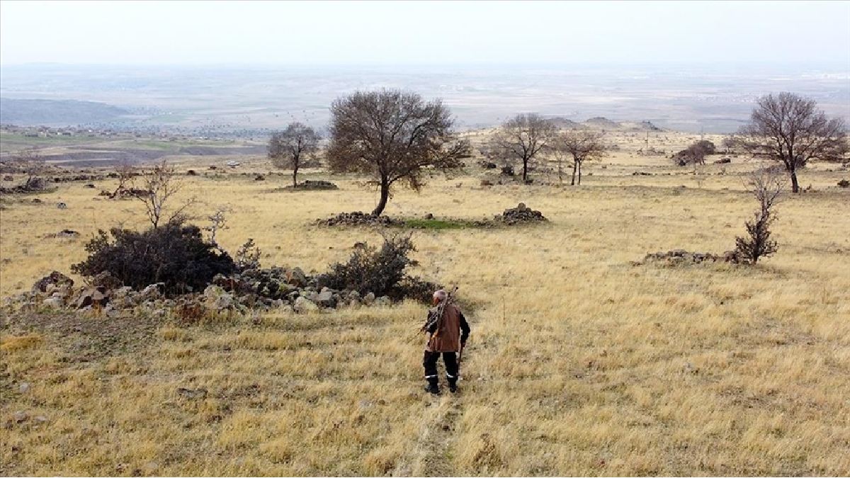 TÜİK verileri ortaya koydu! Türkiye’nin yalnızlık köyleri açıklandı: 5 köyde sadece 1’er kişi yaşıyor!