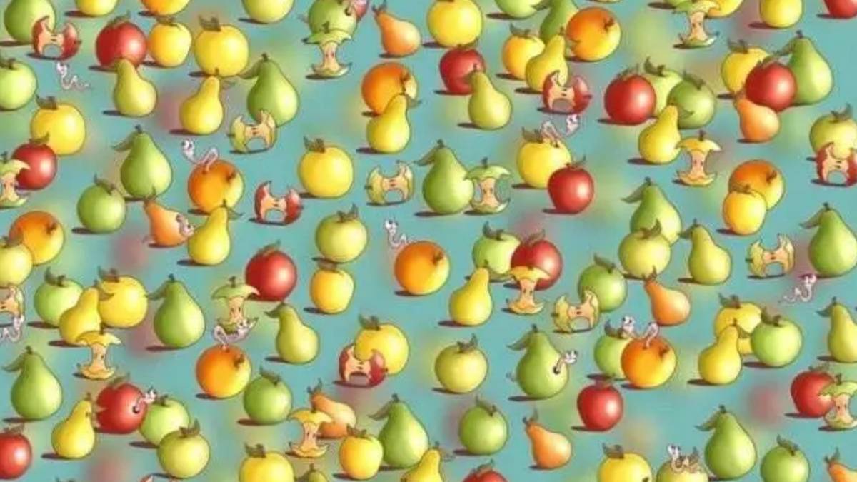 Bulamayana saç baş yoldurur! 9 saniyede gizli limonu bulan bir elin parmağını geçmiyor