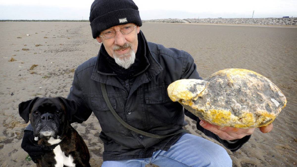 Yüzen altın olarak biliniyor, bulan köşeyi dönüyor! Oluşumu yıllar alıyor, parfümlerin en önemli parçası oluyor