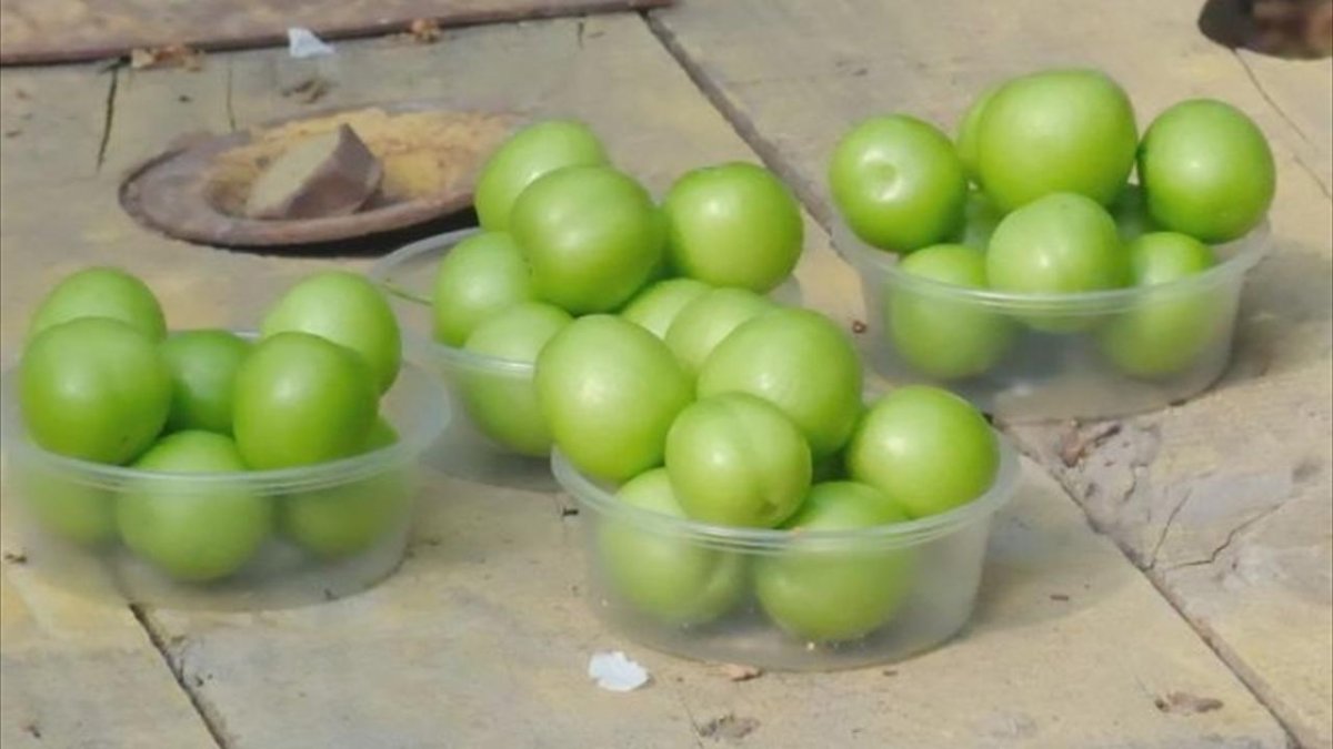 Çeyrek altından daha pahalı! Eriğe el değmeyecek: Kilo fiyatı her seneyi solladı