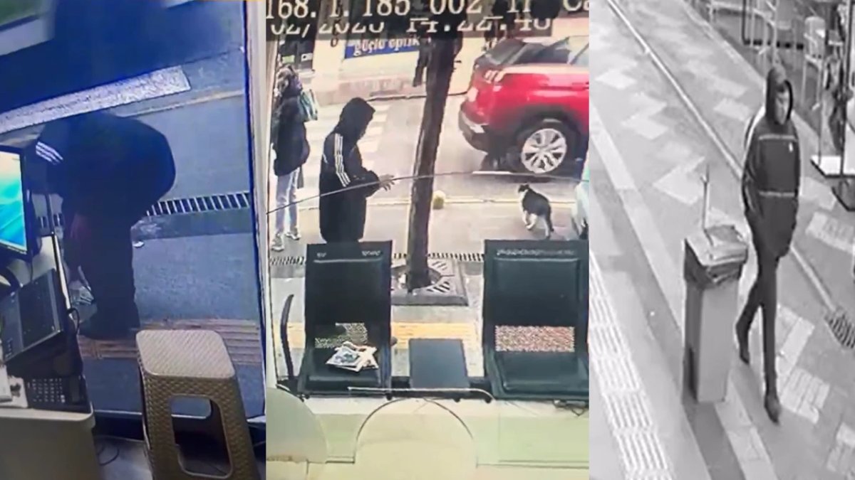 Yalova’da yere düşen 1.530 dolar çalındı: Şüpheli yakalandı