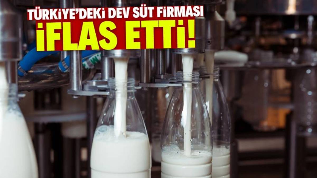 Türkiye'nin 30 yıllık ünlü süt markası iflas etti! Artık raflarda göremeyeceksiniz. Binlerce çalışan işsiz kalacak