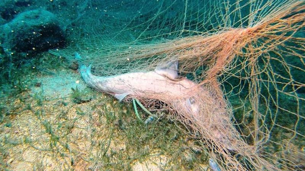 Marmara Denizi'nden 154 futbol sahası büyüklüğünde hayalet ağ çıkartıldı