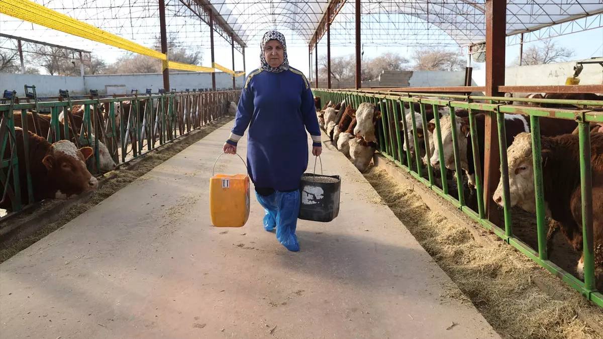 1 taneyle başladı 780'e ulaştı! Hobi olsun dediği iş mesleği oldu! Hem Nevşehir faydalanıyor hem de çevre iller