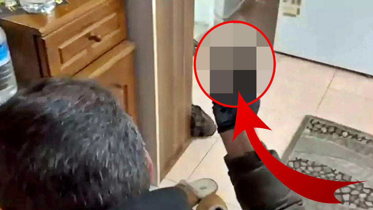 Çok sayıda ölüme neden olmuştu: Sakladığı yer şoke etti! Yüzlercesi ele geçirildi