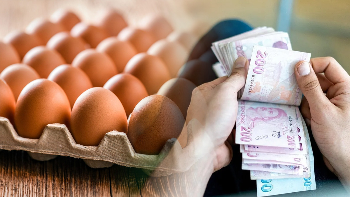 Yumurta üreticilerine büyük müjde! Para kasaları dolup taşacak