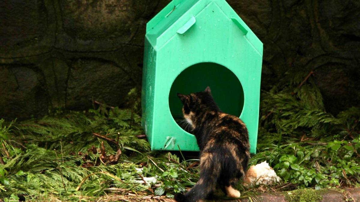 Giresun Belediyesi can dostları unutmadı