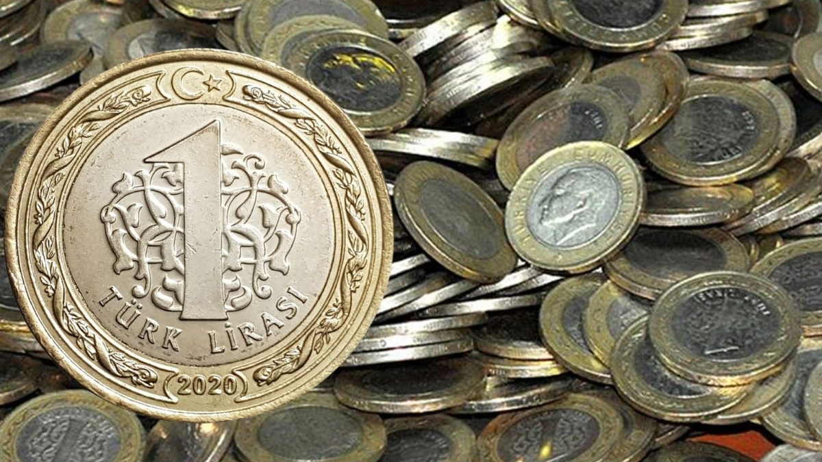 1 liraya sakız bile alınmıyor demeyin! Artık tanesi 456 TL ediyor: Değeri gün geçtikçe katlanıyor