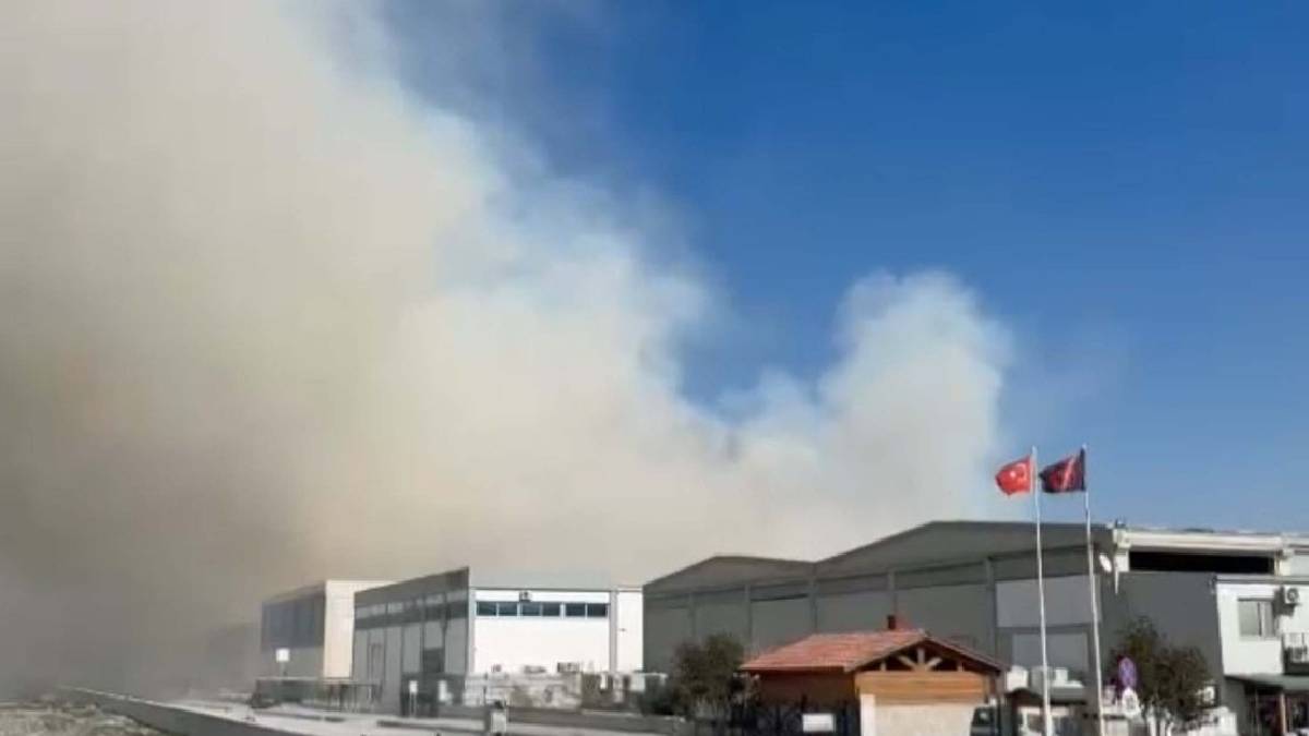 Aydın’da kağıt fabrikasında yangın