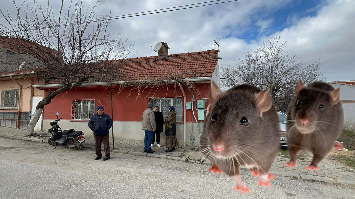 Korkunç olay: 1 hafta önce ölen adamı fareler yedi! 3 çocuğu var ama vefat ettiği günler sonra fark edildi