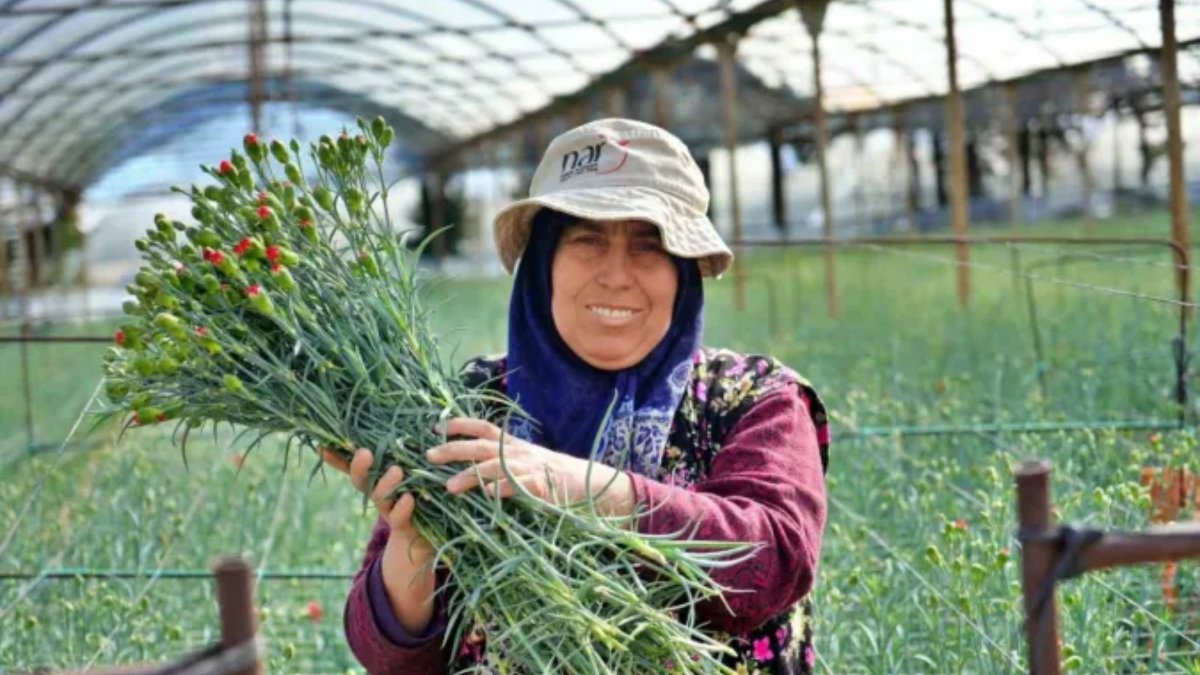 8 Mart için 80 milyon dal çiçek ihracatından 10 milyon gelir bekleniyor