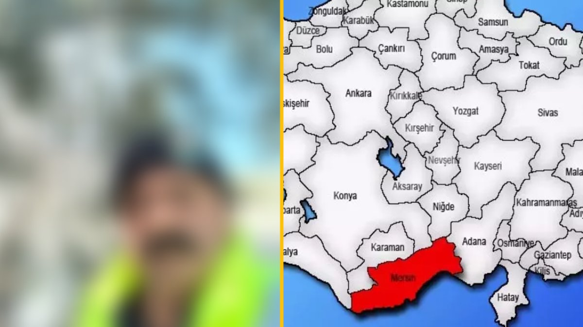 O ilimizde ağaçlarını gören çiftçi şaşkına döndü! 50 yıldır böylesini görmedim