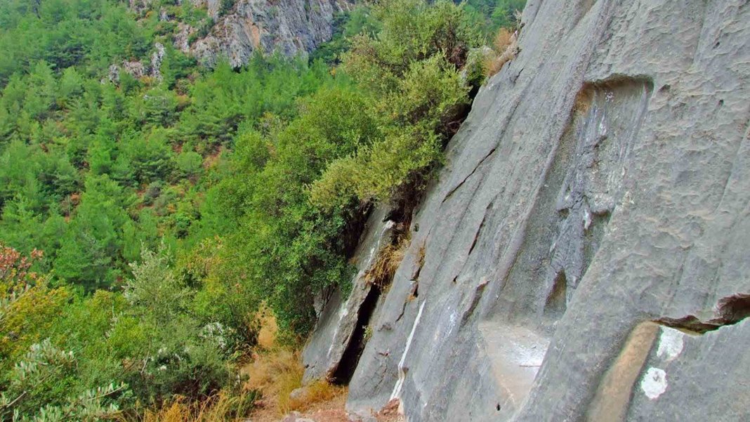Avlanmaya giderken kazara oğlunu öldürdü