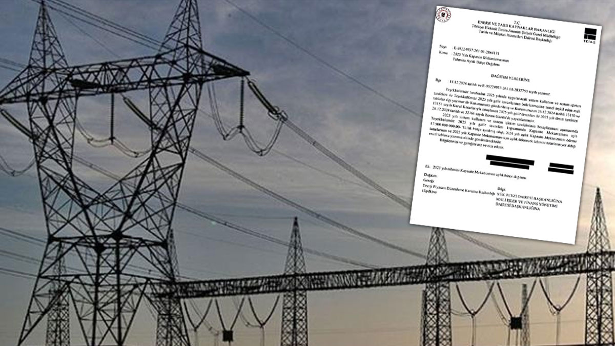 Üretilmeyen elektrik için milyarlarca lira ödenecek iddiası... Yavuzyılmaz: Bu teşvik tutarı 790 bin asgari ücrete denk geliyor