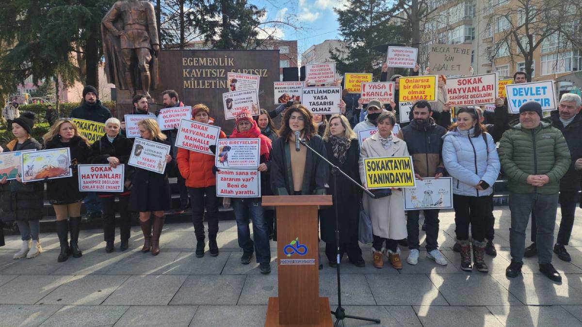 Kötü koku şehrin kuzeyini sardı