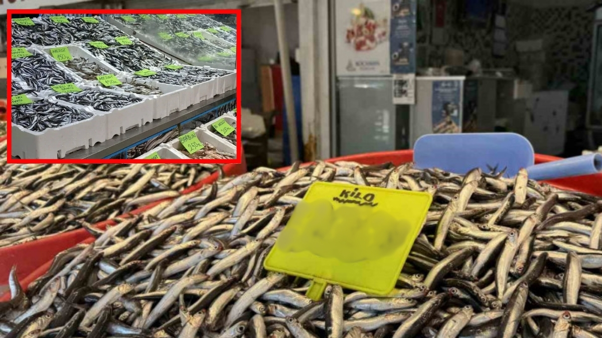 Kar bastırdı fiyatlar tavan yaptı! Hamsi etiketini gören kaçıyor: kilosu 400 TL'ye çıktı