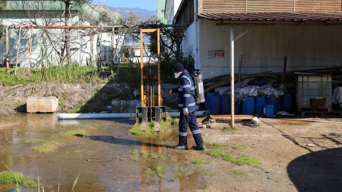 Efeler’de sineklerle mücadele 12 ay boyunca devam ediyor