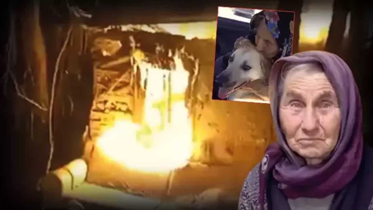 Necla Teyze'nin ölümüne ilişkin İtfaiye raporu soruşturma dosyasına girdi: Yangının çıkış nedeni soba