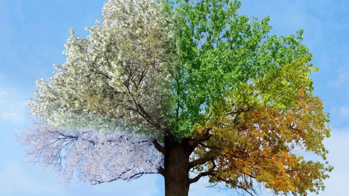 Kişilik testi: En sevdiğiniz mevsimle gerçek doğanızı keşfedin! Hemen deneyin...