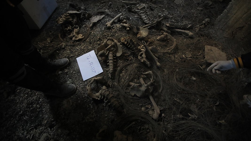 Suriye'de bir toplu mezar daha: Esad rejimi tarafından öldürülen sivillere ait olduğu düşünülüyor