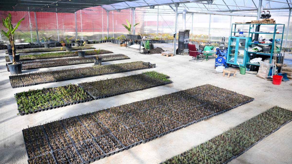 Bornova’da daha yeşil bir gelecek için büyük adım