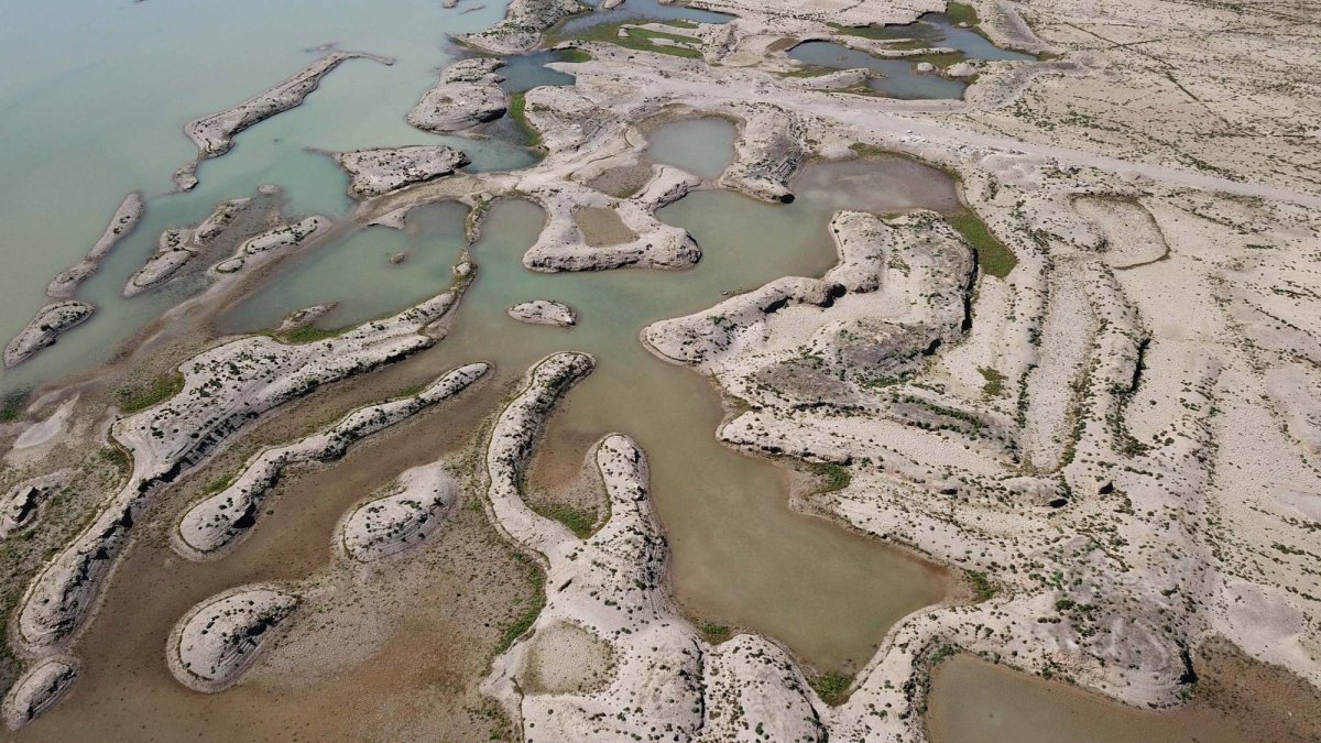 Prof. Dr. Doğan Yaşar: Bu yaz ciddi bir kuraklık bekleniyor