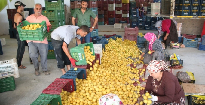 Limon kimi sıktı kimi sevindirdi?
