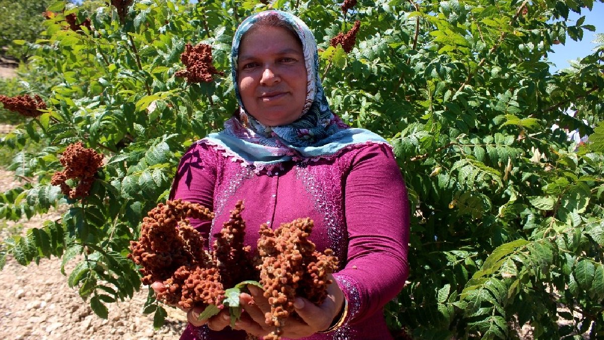 Kilosu binlerce TL kazandırıyor, eken kimse pişman olmuyor! Üreticiler gözünü bu ürünlere çevirdi: Cepleri boş kalmıyor