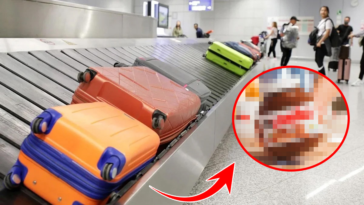 Uçağa binmeden hemen çıkartın! Valizde görülürse el konuluyor... İşte ürünlerin listesi!