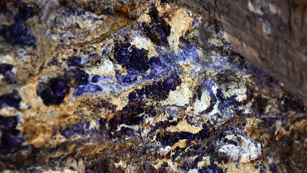 ABD’den önce Fransa davranmış! ‘Nadir toprak elementleri için Ukrayna’yla aylardır görüşüyoruz’