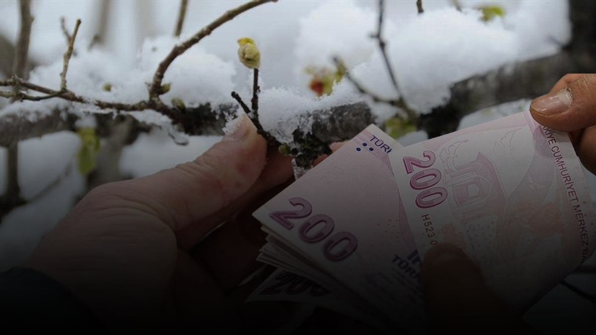 Havalar soğudu, tarım ürünleri zarar gördü! Zirai don sebze ve meyveleri vurdu: Yüzde 50 zam yola çıktı