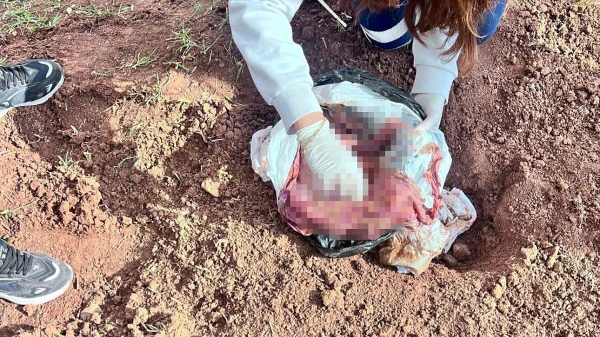 Cani anne bebeğini boğup poşetle araziye attı: 2 kişiye tutuklama