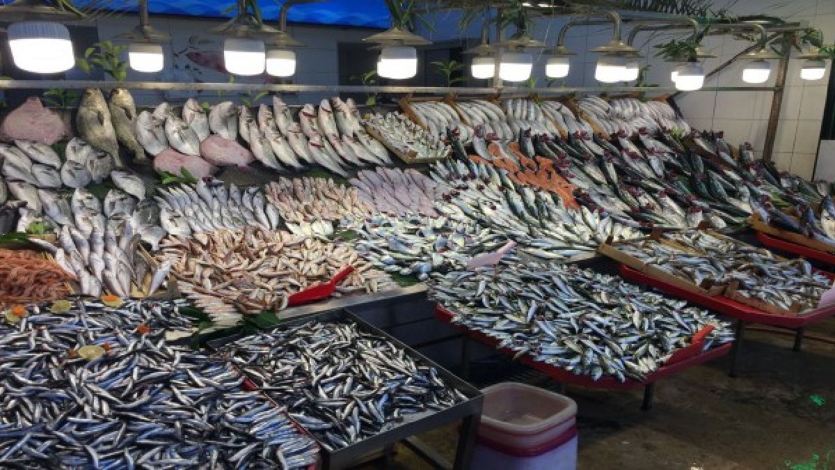 Ramazan geldi balık yeme hayalleri suya düştü! Karadenizli bile elini değemiyor: Fiyatlar alıp başını gidiyor