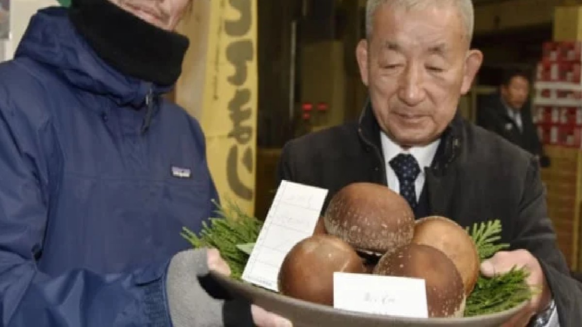 İlk hasadı yapıldı, fiyatı dudak uçuklattı! Resmen bir servet değerinde: 6 tanesi 2 bin 200 dolara satıldı