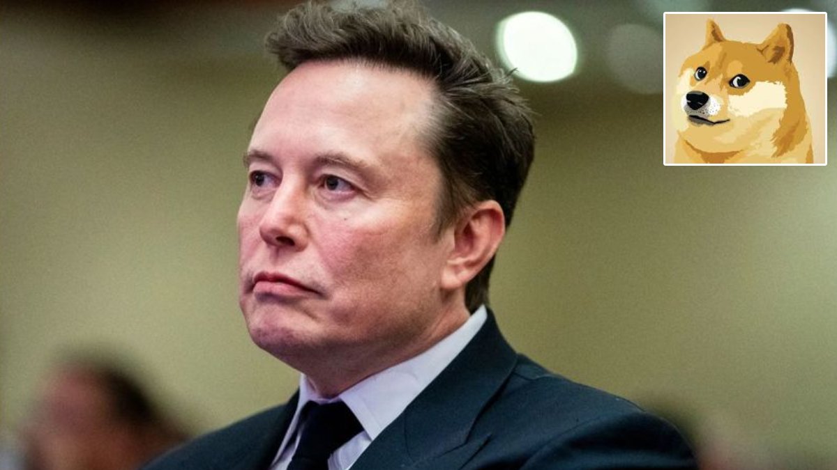 DOGE ilk etapta yaklaşık 80 milyon dolarlık tasarruf sağlayabilir