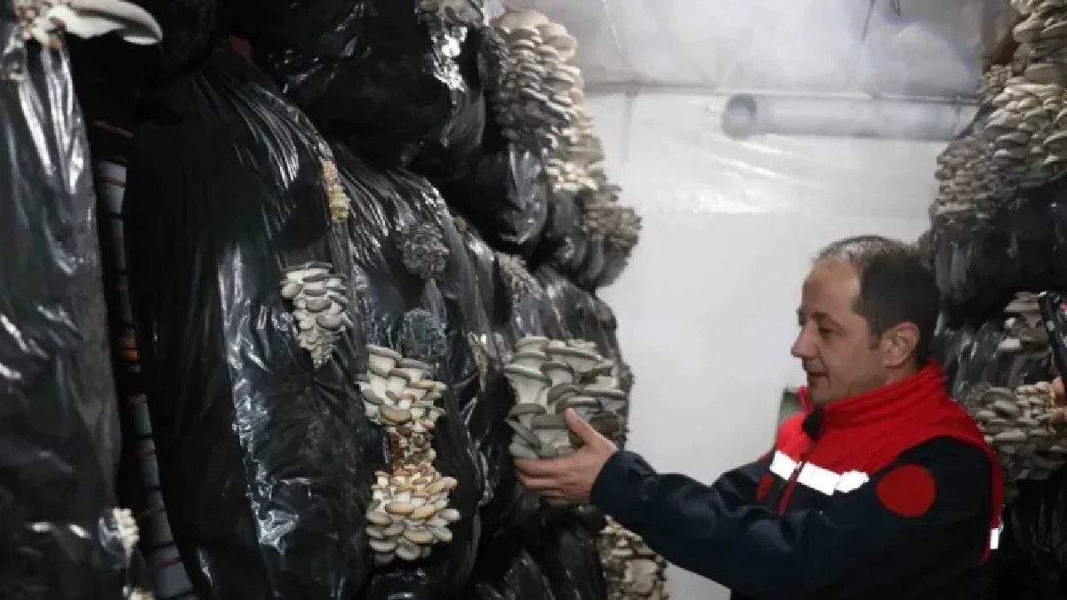 Evinin tavanını üretim merkezi yaptı, kentte ilk oldu! Markette 200 TL’ye satılıyor: O poşette üreterek satıyor