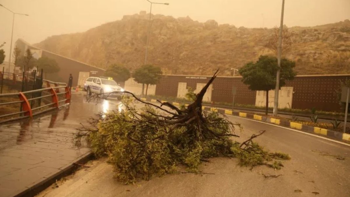 Fırtına ve toz taşınımı etkili olacak: Sıcaklıklar mevsim normallerinin üzerinde