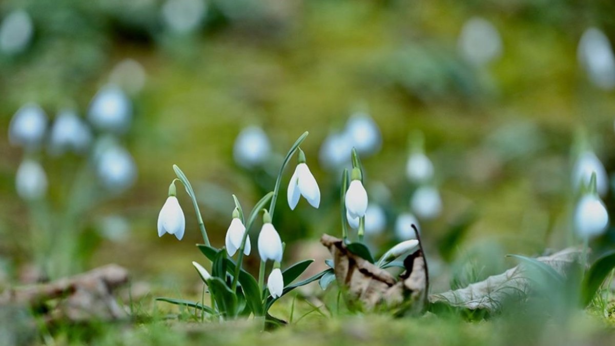 Üçüncü cemre toprağa düştü