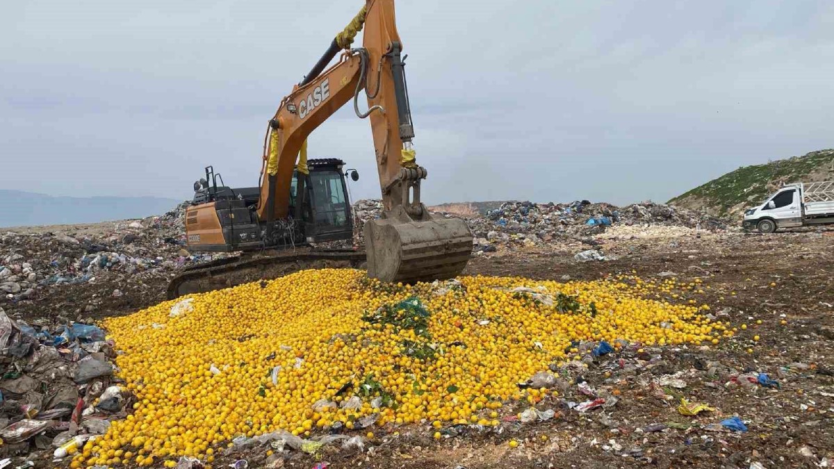 Dubai’ye ihraç edilecekken pestisit tespit edildi... 71 ton limon imha edildi