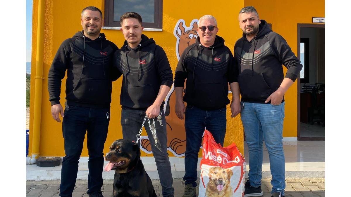 Söke Belediyesi Sevimli Patiler Sevgi Evi'nde sahiplendirme süreci başladı