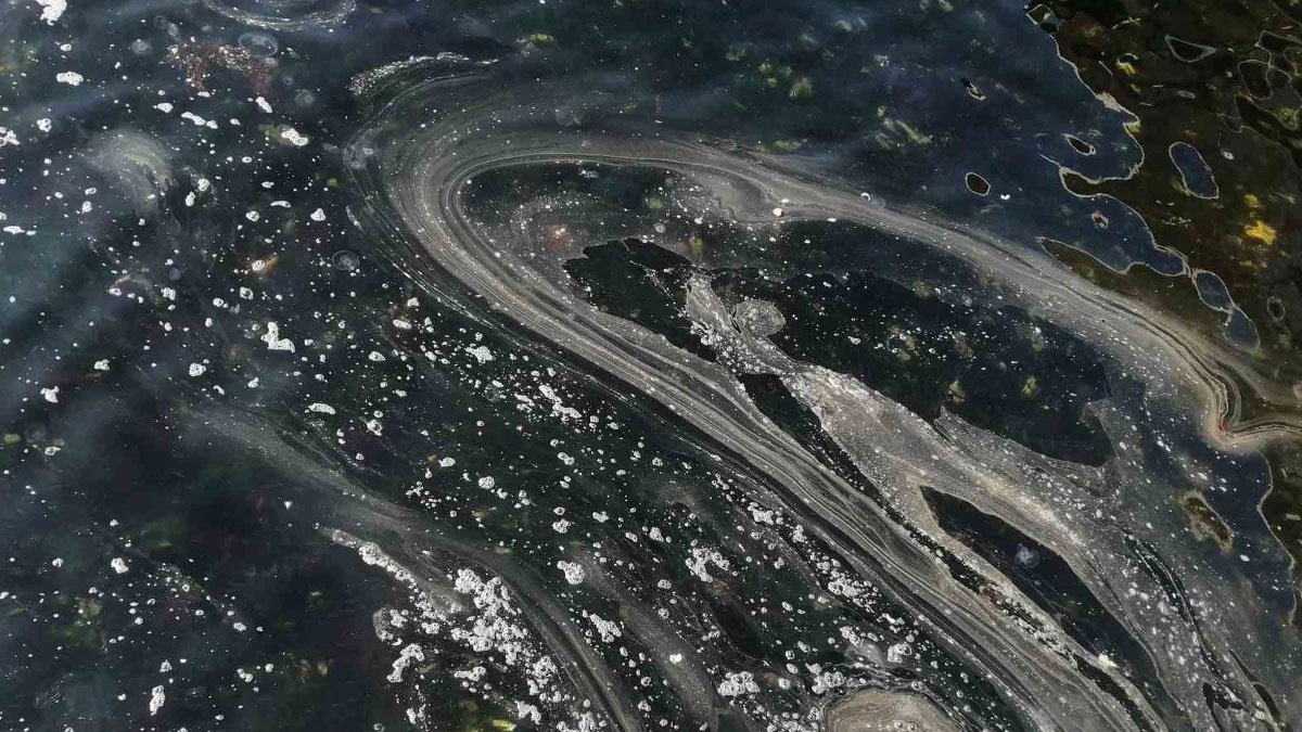 Marmara’da müsilaj alarmı: 2021’den daha büyük tehdit kapıda